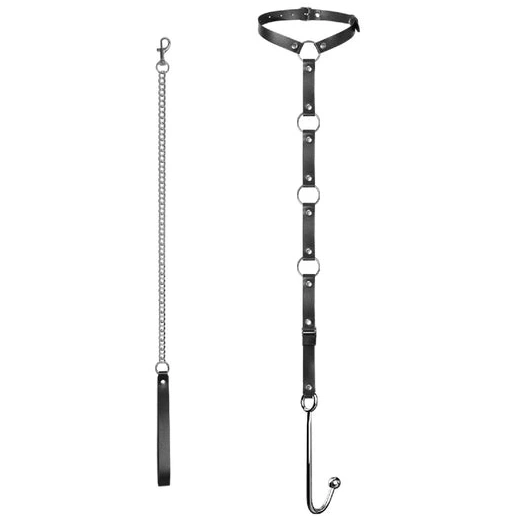 Anal Hooks 5853 Leash Anal Hook and Collar with EverydayUse Kinky 0729